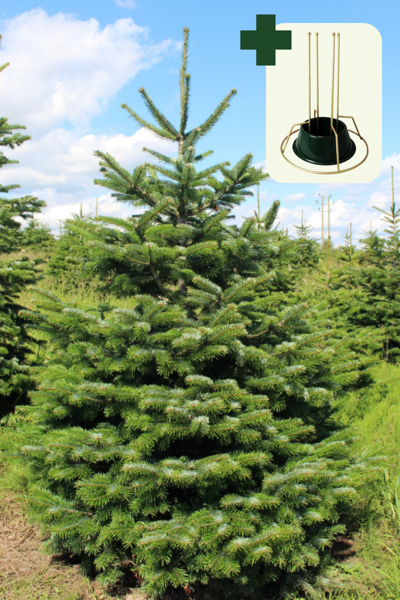 Premium Christmas Tree and Stand Bundle