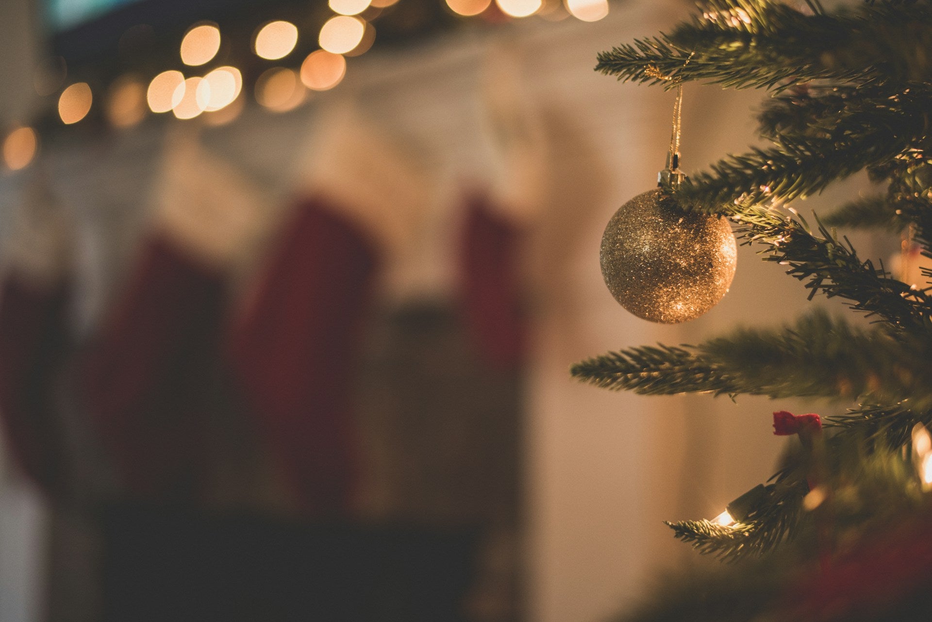 How to Choose the Perfect Size Tree